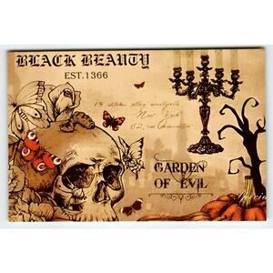 Vintage Halloween Black Beauty Skull Garden of Evil Chrome Postcard